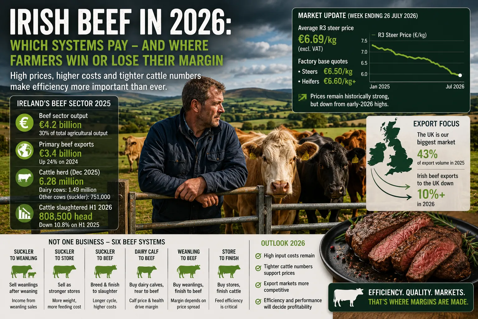 Irish Beef in 2026: Which Production Systems Pay — and Where Farmers Win or Lose Their Margin